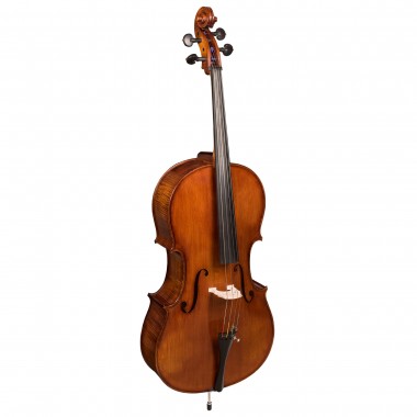 Violoncel maestru
