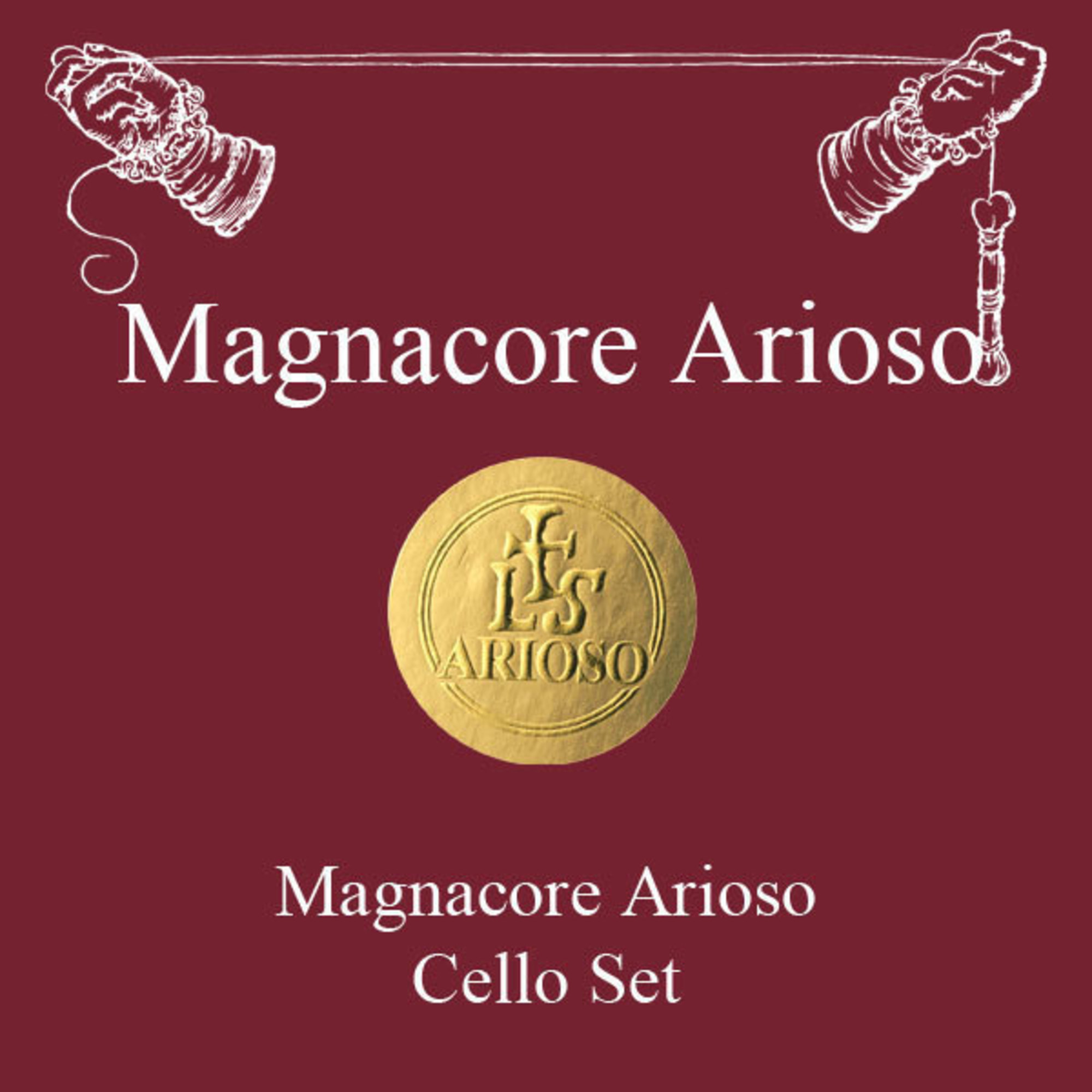 Corzi v-cel Larsen Magnacore Aroioso 